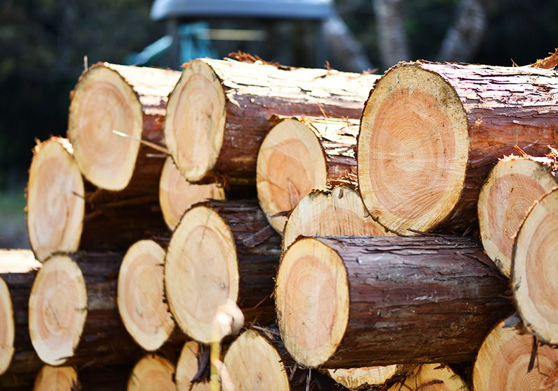 実は木造は燃えにくく火に強い